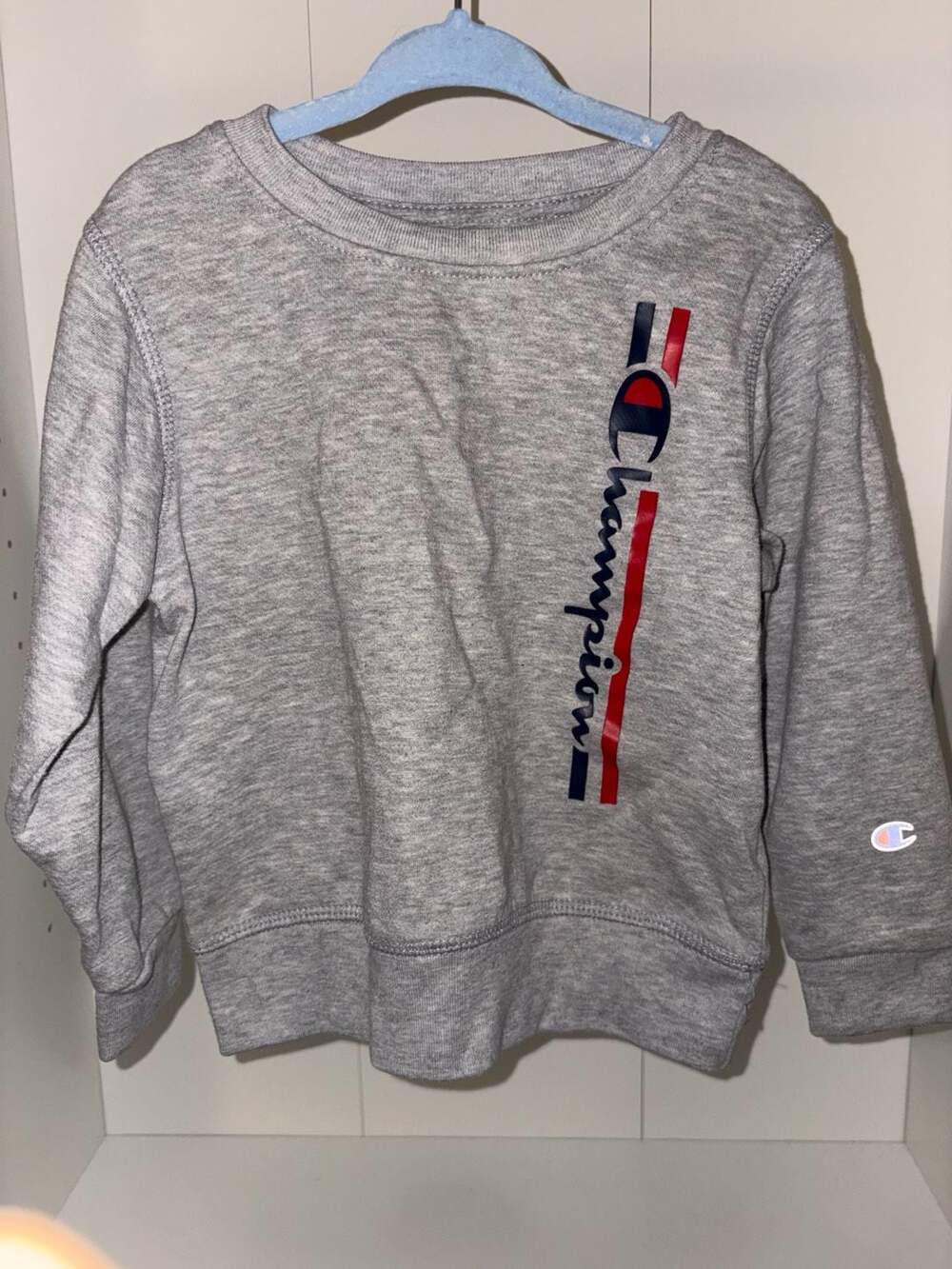 Champion Sweatshirt Size 4T Gray Vertical Logo Crewneck